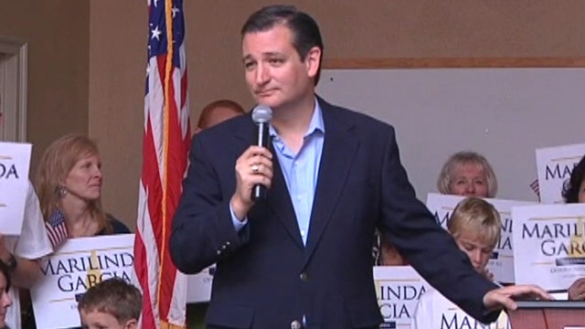 Cruz Stumps for Garcia In NH