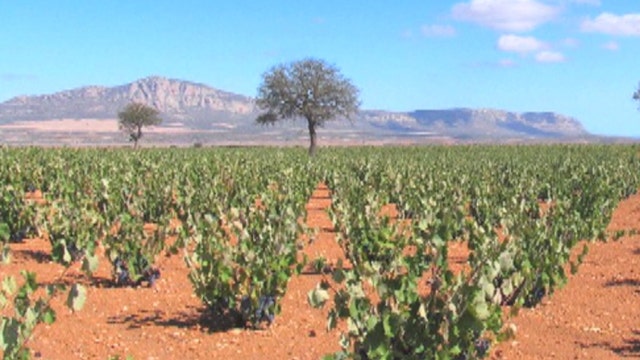 Spain's world of wine