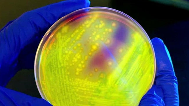 CDC warns of drug-resistant bacteria