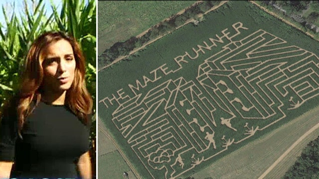 Can Maria escape real-life 'Maze Runner' labyrinth? 