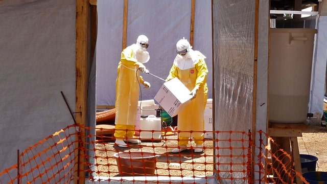 Report: 8 Ebola aid-workers brutally murdered in Guinea