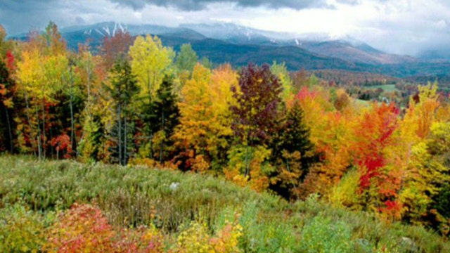 Autumn escapes: Plan the perfect fall getaway