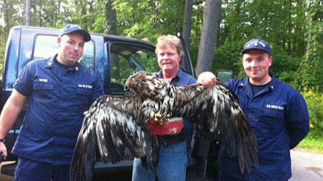 Coast Guard petty officers save baby eagle