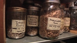 >With rising costs in health care, families are paying more out of pocket for doctor visits and common medications.