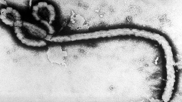 Report: Texas Ebola patient came in contact with hundreds