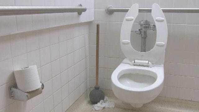Burglar leaves poop in family toilet