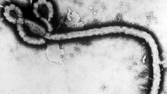 Should ObamaCare funds cover Ebola containment costs?