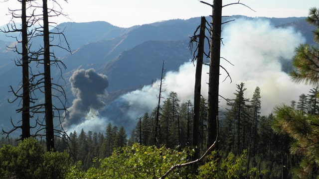 Pilot fighting wildfire dies after air tanker crashes