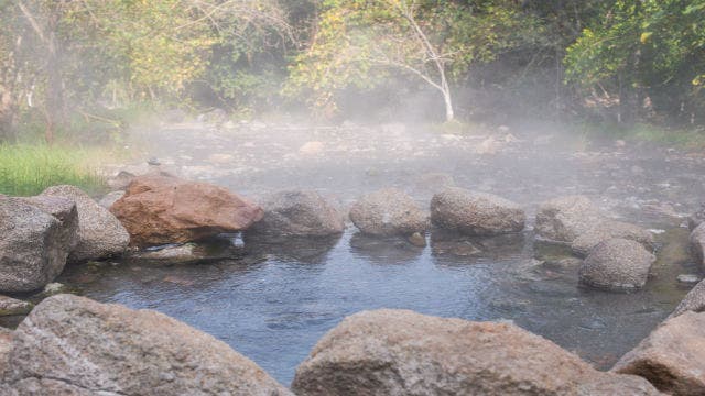 Could a fountain of youth really exist?