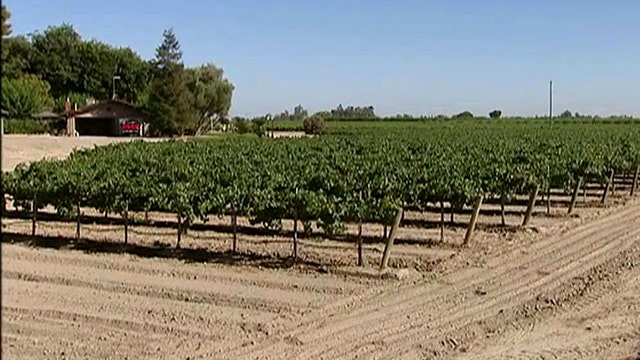 Food prices spike as California's historic drought drags on