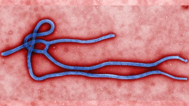 How difficult is it to catch Ebola?