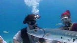 'Pirates' play underwater poker in Florida Keys