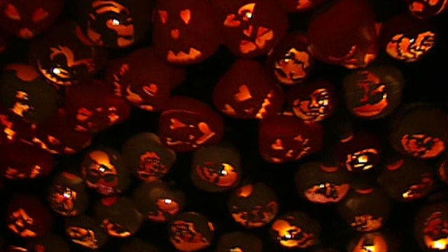 The Great Jack O'Lantern Blaze attracts thousands