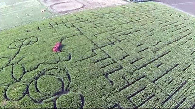 Get lost in world's largest corn maze