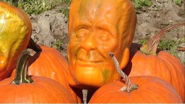 California farmer develops 'Pumpkinstein'