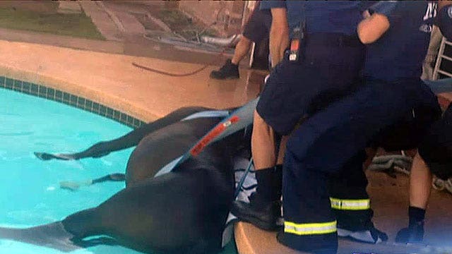 The Good, the Bad and the Ugly