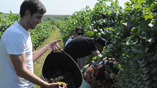 The Unexplored wine region of Moldova