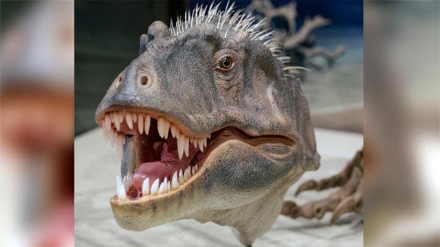 Scientists unveil 'King of Gore' tyrannosaur