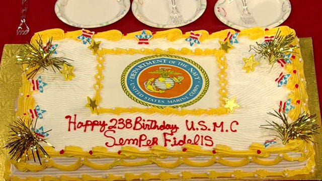 US Marine Corps celebrates its 238th birthday