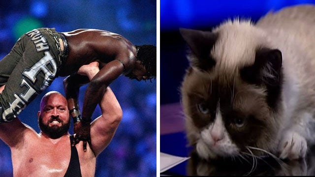 Grumpy Cat hosts WWE Monday Night Raw