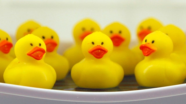 Does the rubber duck deserve the Toy Hall of Fame?