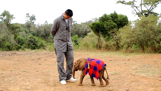 Yao Ming talks crusade against animal poaching