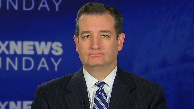 Sen. Cruz on GOP response to president's executive action