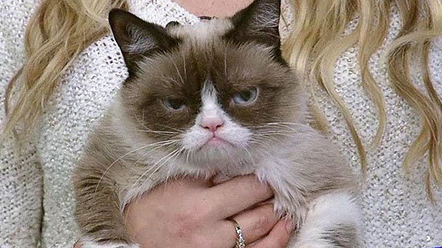 Bah Humbug: Grumpy Cat stars in holiday movie