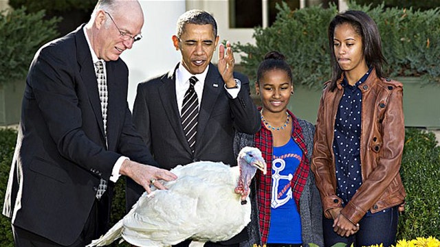 Presidential turkey pardon no laughing matter?