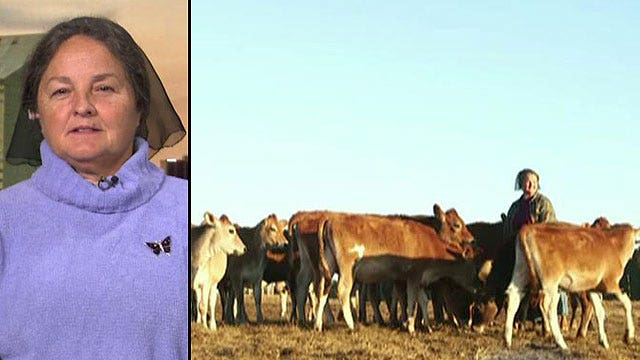 Small dairy farmer taking on state regulators
