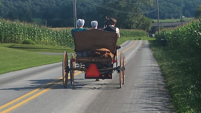 Health habits to steal from the Amish