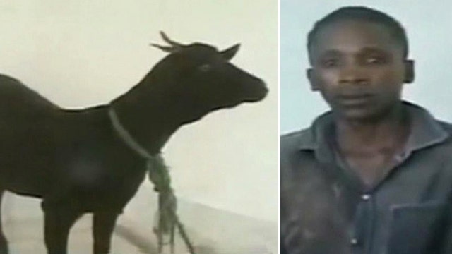 Man who had sex with goat faces victim in court