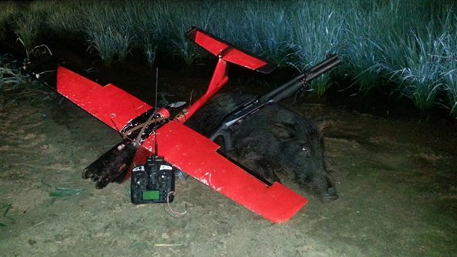 Drones used to hunt, kill feral pigs in Louisiana