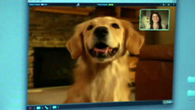 New device lets owners video chat with their pets