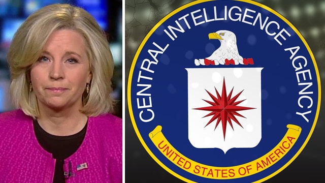 Liz Cheney: CIA report does 'lasting damage' to agency