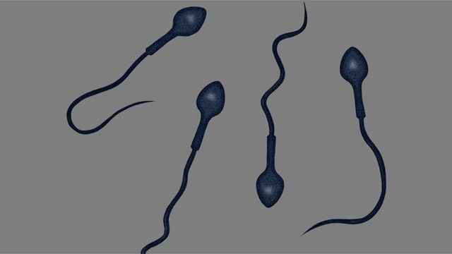 'Robotic' sperm to fight infertility?