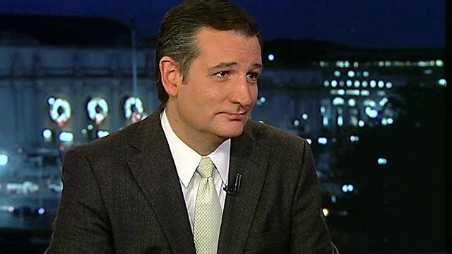 Cruz: It was critical to vote on 'unconstitutional amnesty'