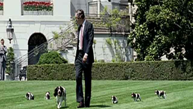 Fox Flash: White House Pets