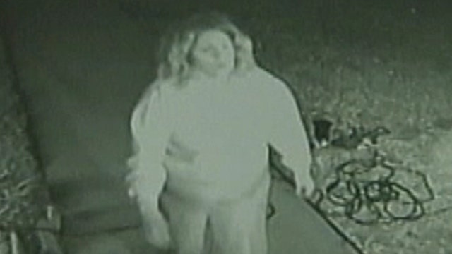 'Grinch' stealing Christmas decorations in Texas