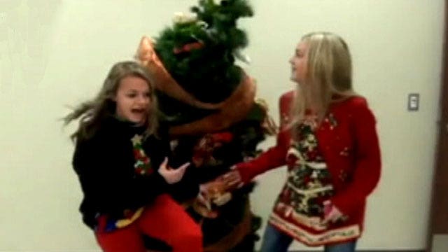 'Living' Christmas tree gives school a scare