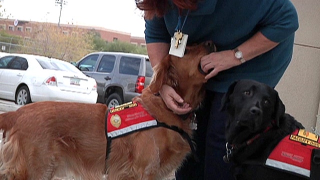 Four legged friends help crime victims