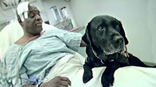 Strangers donate money to let blind man keep guide dog