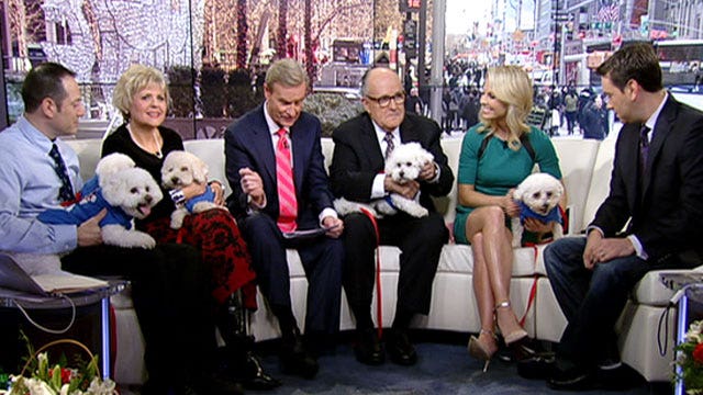 After the Show Show: Fostering or adopting a pet