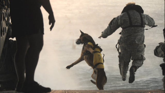 Fox Files preview: 'Superdogs' bred for military duty