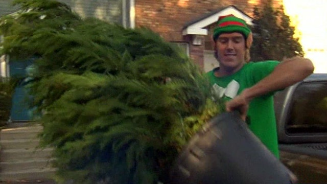 Popsicle company turns into Christmas tree elves in winter