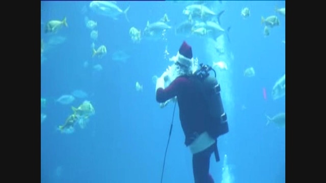 Scuba Claus celebrates holidays at the Georgia Aquarium