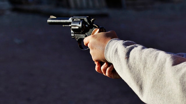Rove, Trippi weigh in on gun control