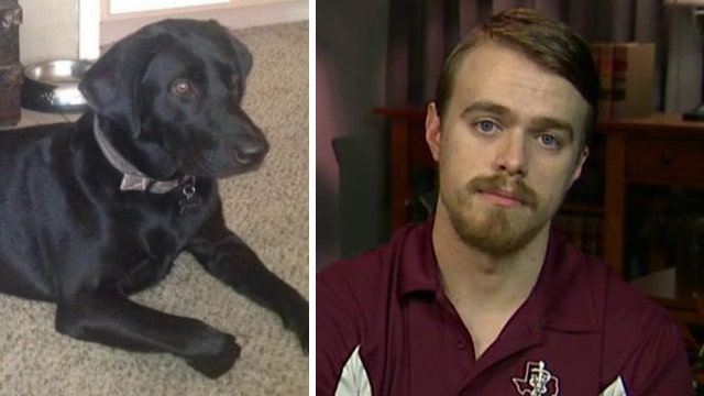 Vet goes to great lengths to save service dog after accident
