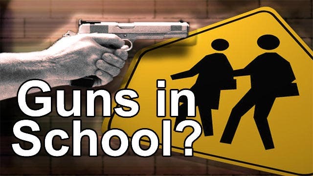 Grapevine: Guns in schools?