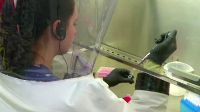 Experimental treatment uses immune system to fight cancer